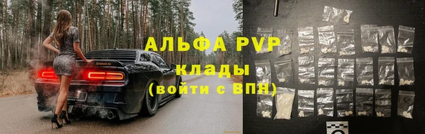 сатива Пролетарск