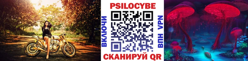 Псилоцибиновые грибы Magic Shrooms  купить закладку  Куртамыш 
